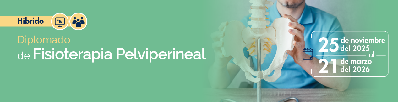 Diplomado en Fisioterapia pelvi-perineal. 