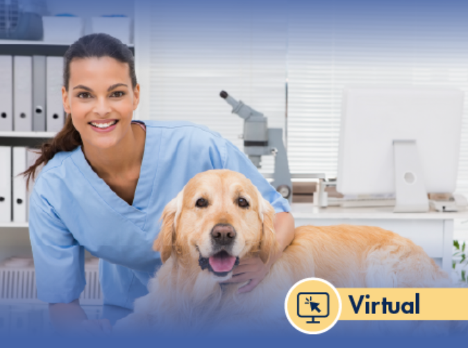 Diplomado en Citohistotecnología Veterinaria: Potenciando el Diagnóstico