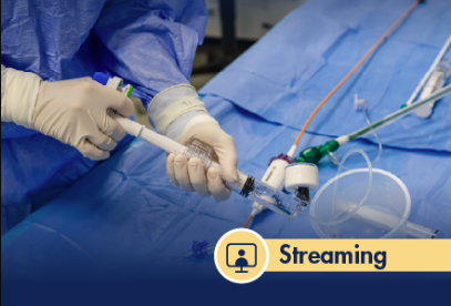 Diplomado en Asistencia Clínica Especializada en Hemodinamia y Radiología Intervencionista.