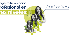 ADMINISTRACIÓN DE SERVICIOS DE SALUD PROFESIONAL POR NIVELES