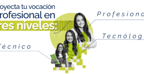 ADMINISTRACIÓN DE SERVICIOS DE SALUD PROFESIONAL POR NIVELES