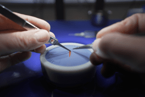 Entrenamiento Básico de Microcirugía Para Residentes